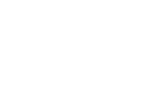 logo blanc sophie takenouti kinesiologue boulogne billancourt